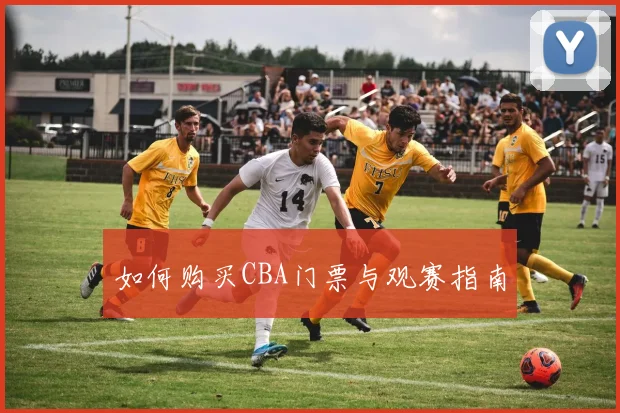 如何购买CBA门票与观赛指南