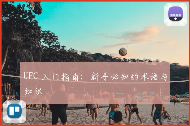 UFC 入门指南:新手必知的术语与知识